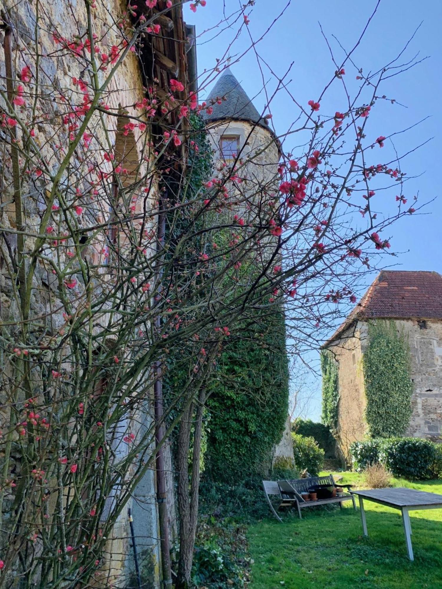 Chateau Mareuil Brigueuil-le-Chantre Buitenkant foto